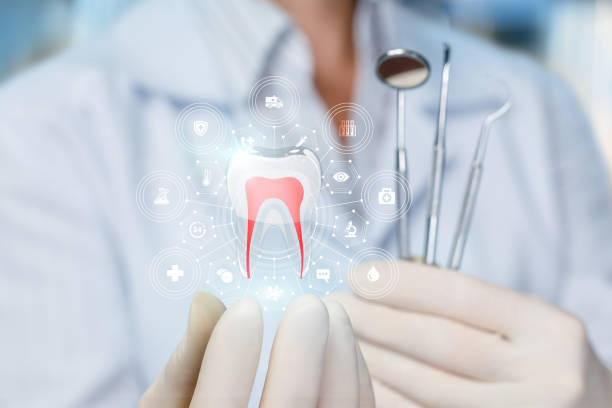 Professional  Holistic Dental Services in Sunset, UT